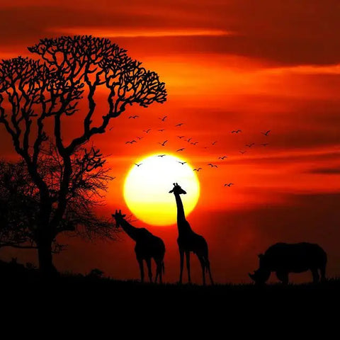 Wildlife