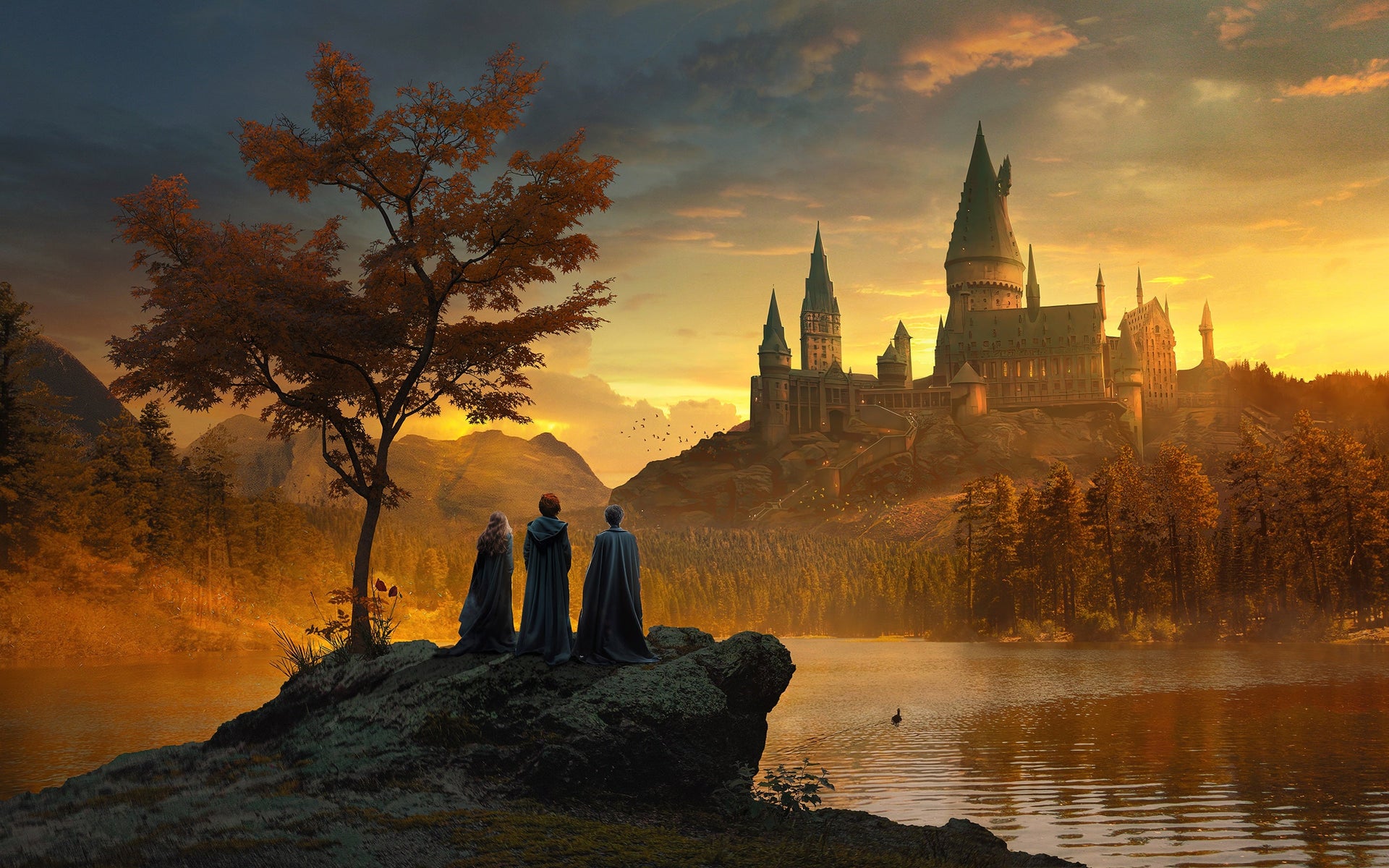 Harry Potter