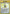 Pokemon Trader (106)