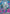 Annihilape Ex (242)