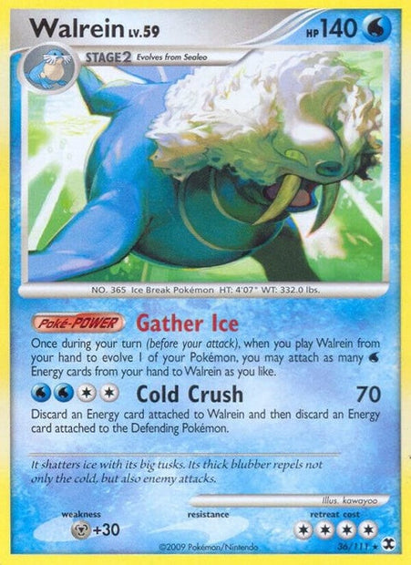 Walrein (36)
