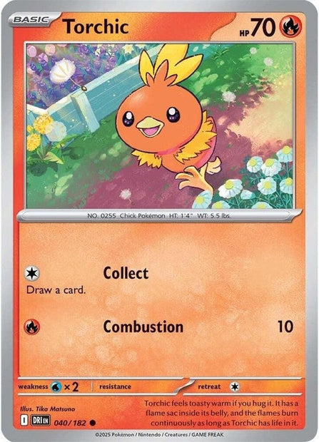 Torchic (40)