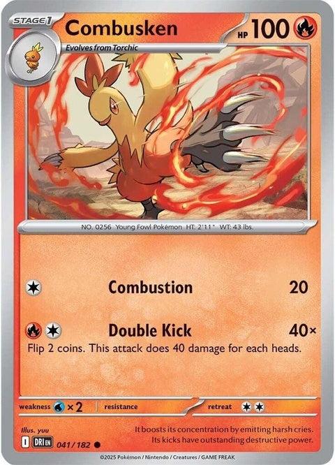 Combusken (41)