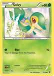 Snivy (5)