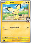 Ethan's Pichu (71)