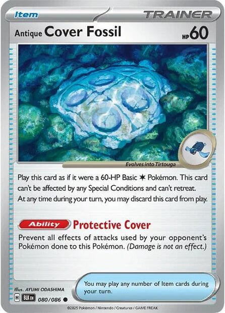 Antique Cover Fossil (80)
