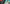 Pokemon TCG: Trainer's Toolkit (2024)