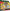 Pokemon TCG: Miraidon ex League Battle Deck