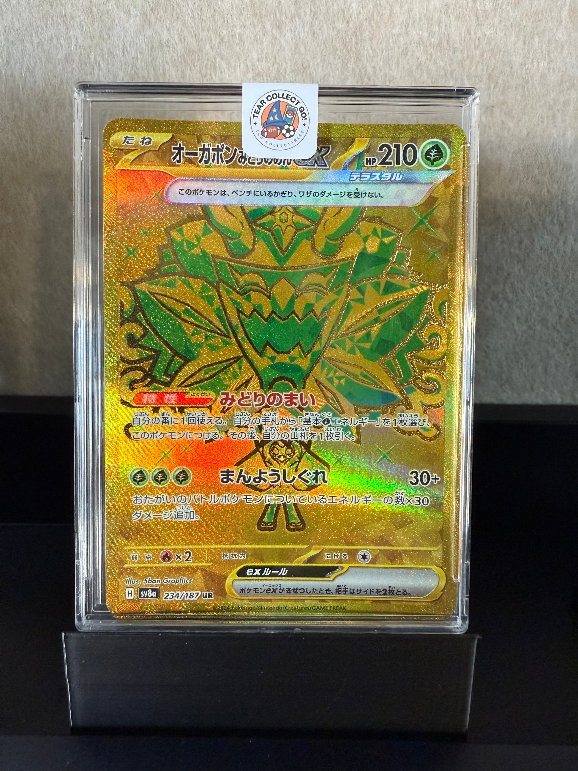 Ogerpon ex Terastal Gold Secret Rare (Japanese)