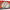 Pokemon TCG: Tera Brawlers Premium Collection