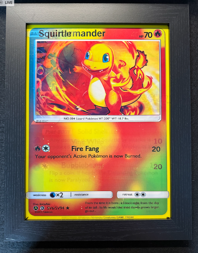 “Squirtlemander” 3D Lenticular Pokémon Display Frame