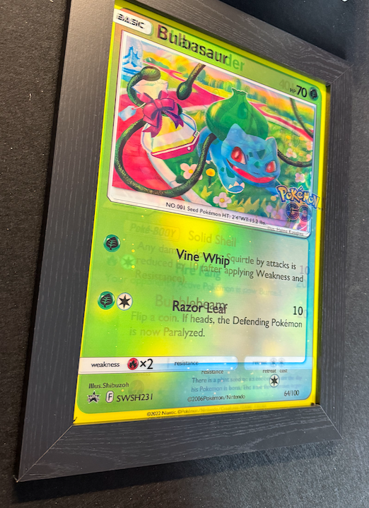 “Squirtlemander” 3D Lenticular Pokémon Display Frame
