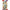 Pokémon TCG: Scarlet & Violet 1 Premium Checklane Pack